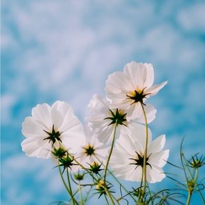 Meet your Posher, Bethany